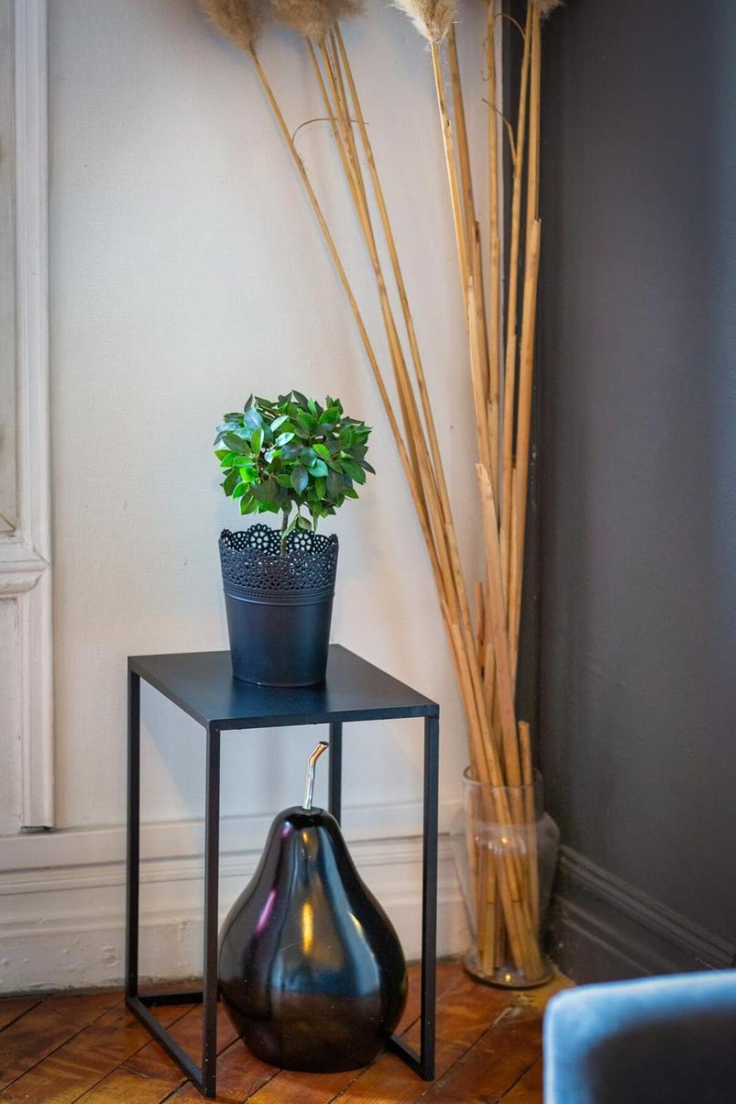 Le French Kiss F2 Renove Hyper-centre De Appartement